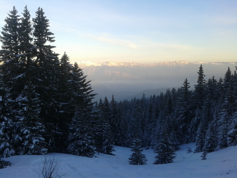 #4 Vercors : sortie de la forêt. Vercors : sortie de la forêt.