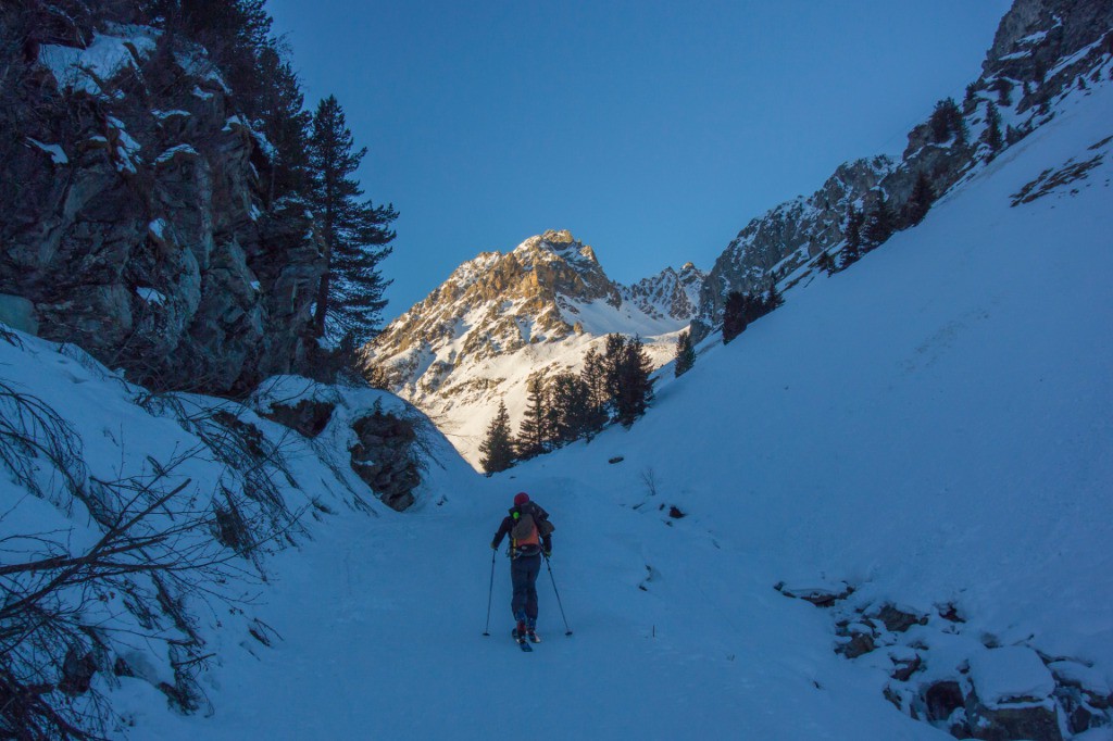 #15 3012 montée dans le frigo mais ce sera bientôt plein soleil 3012 montée dans le frigo mais ce sera bientôt plein soleil