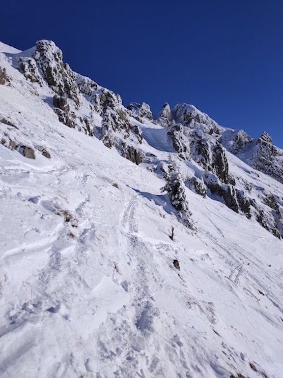 par un jour froid de Janvier 2021